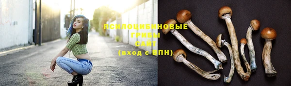 винт Нязепетровск