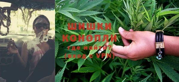 дживик Осташков
