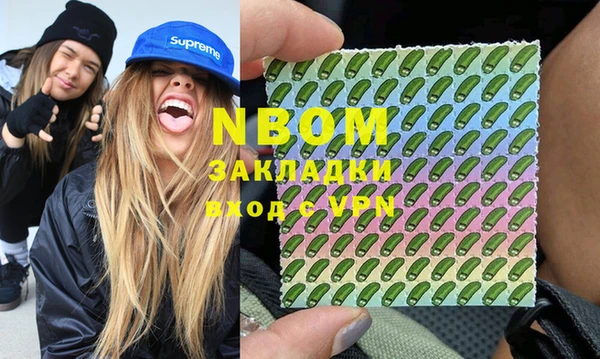 Альфа ПВП Няндома