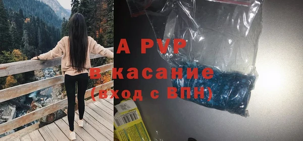 ешки Новозыбков
