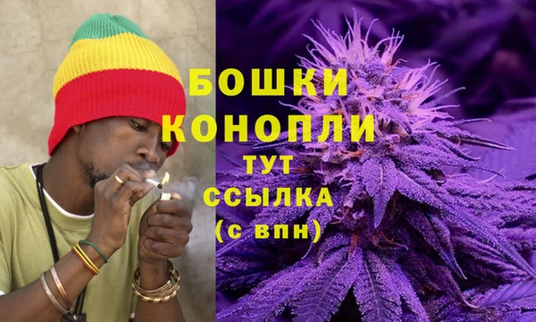 Альфа ПВП Няндома