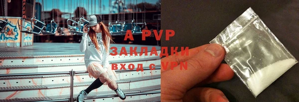 Альфа ПВП Няндома
